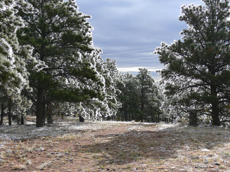 DP1070649