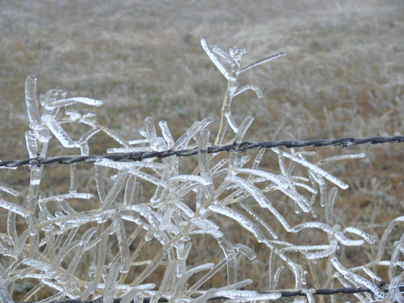 P1070610