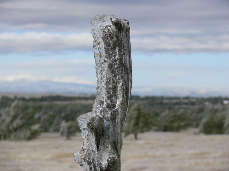 P1070632