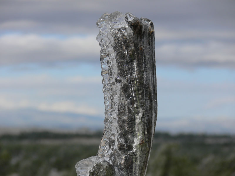 P1070634