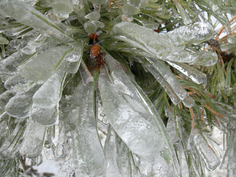 P1070642