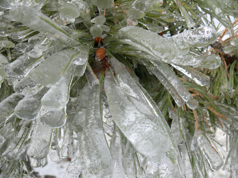 P1070643